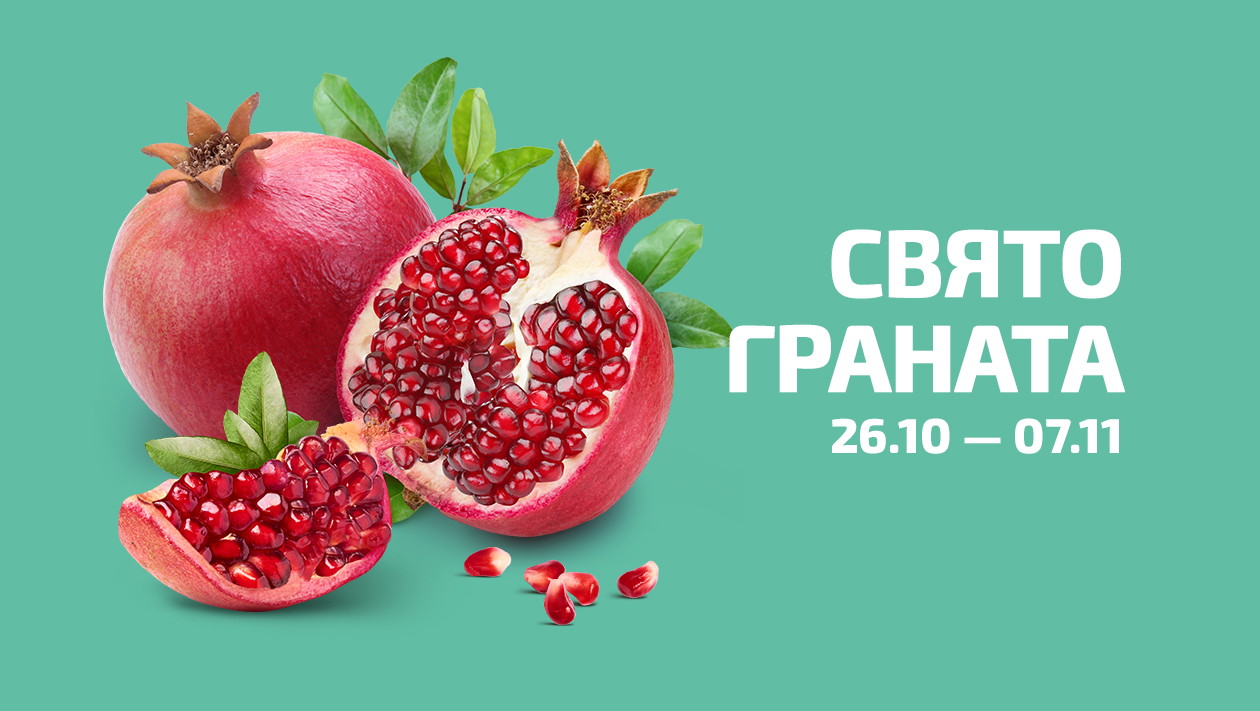 1260х711